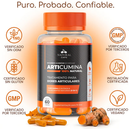 ARTICUMINA