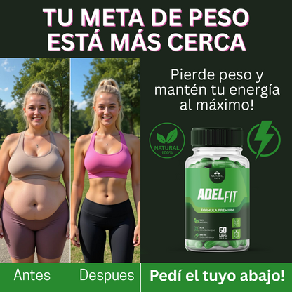 ADELFIT